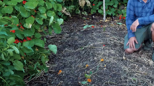 "The soil gets better and better every year."