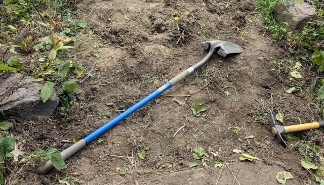 Fellow gardeners shared their success stories with the method.