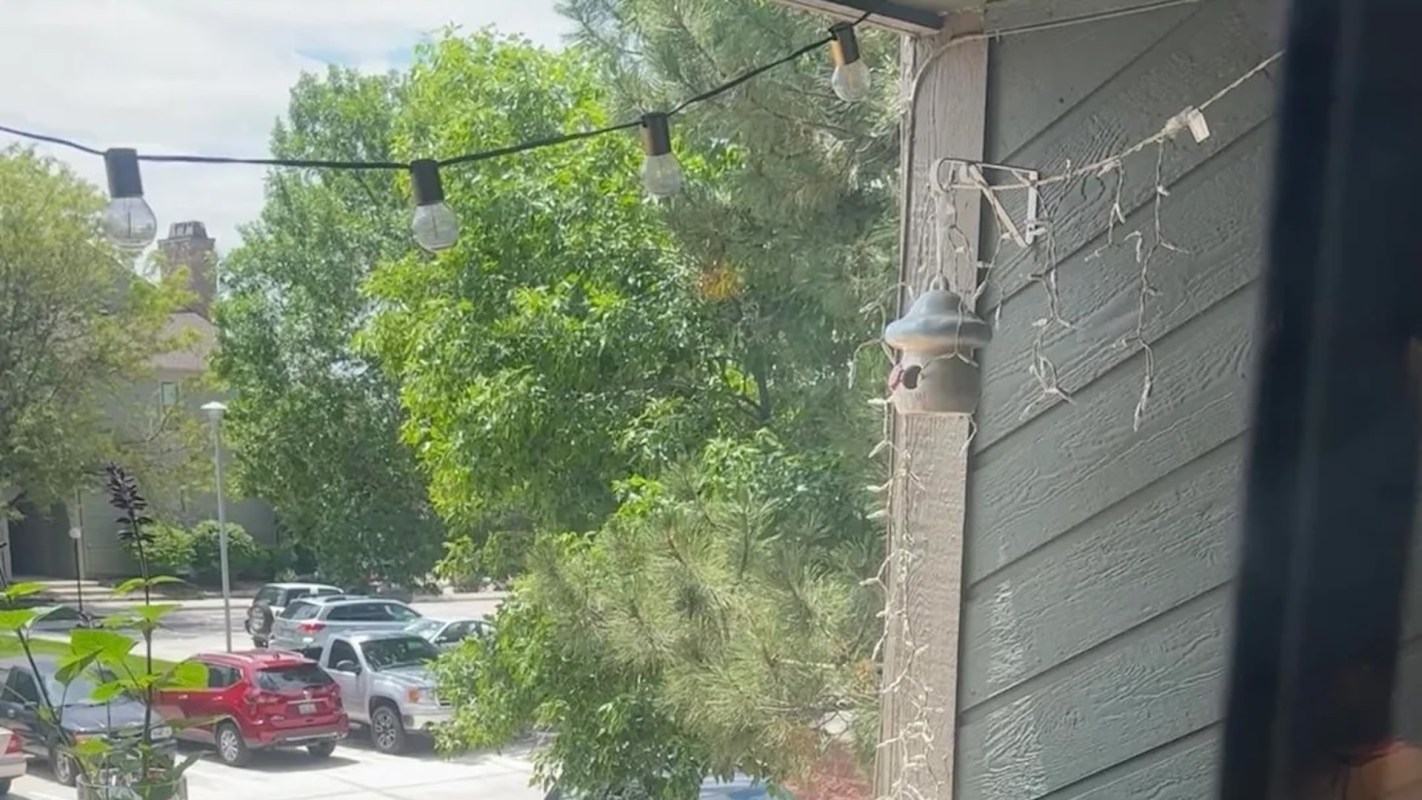 Fortunately, most HOAs have clearly defined processes for challenging unfair decisions.