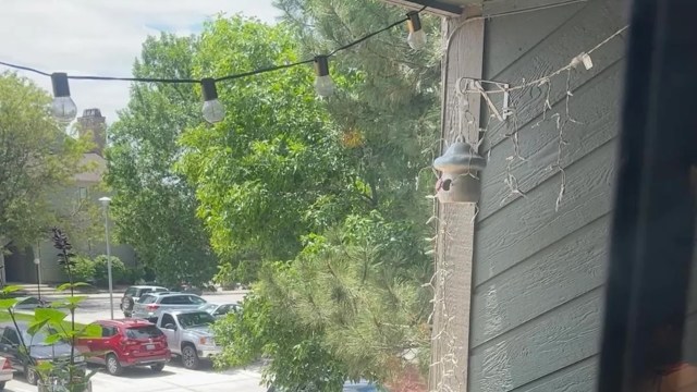 Fortunately, most HOAs have clearly defined processes for challenging unfair decisions.