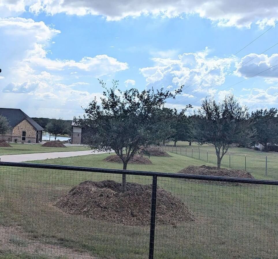 Reddit commenters were flabbergasted.