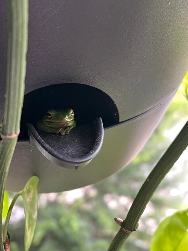 "How come I never get this lucky?"