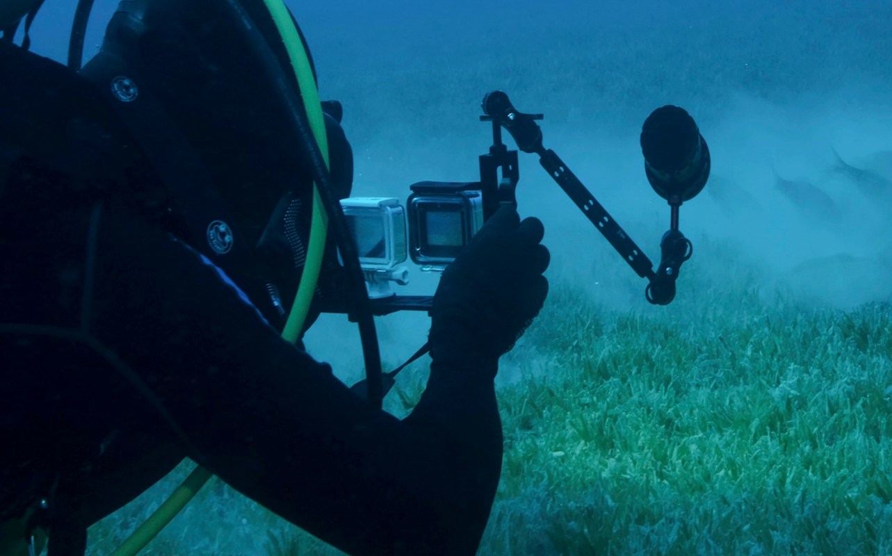 "Highlights how much we still have to learn about our planet."