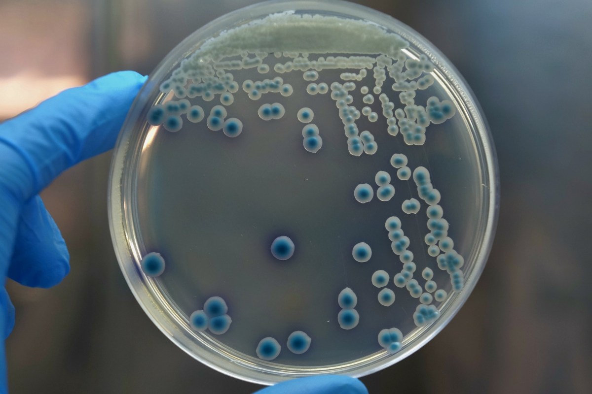 "Could have significant implications."