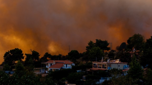 "These events aﬀect lives and livelihoods through a wide range of channels that extend beyond the initial impact."