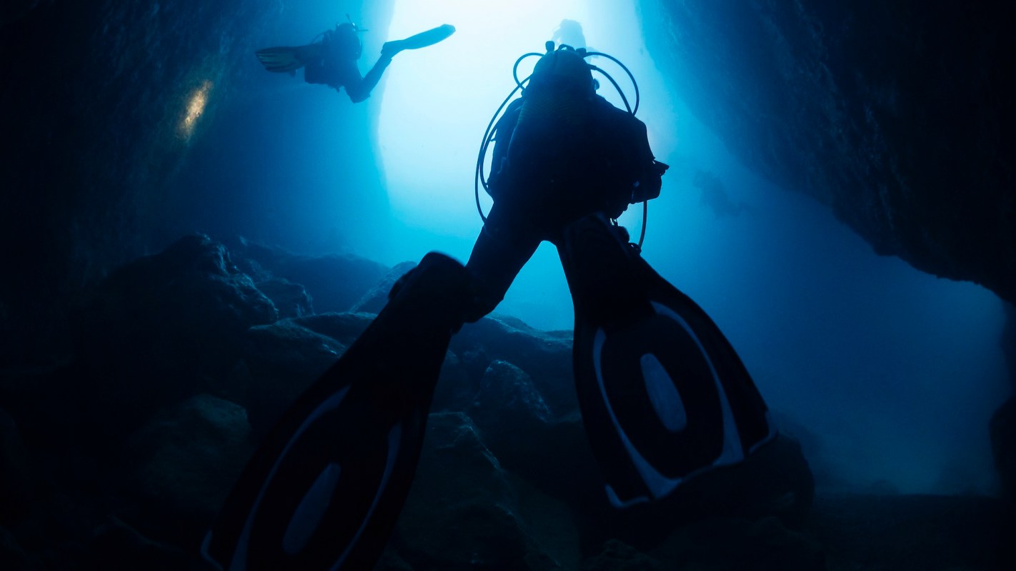 "Now we have a deep understanding of how it happens."