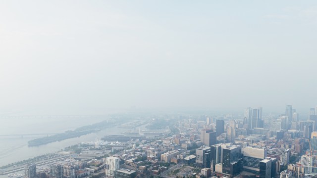 "It's coming back to life."