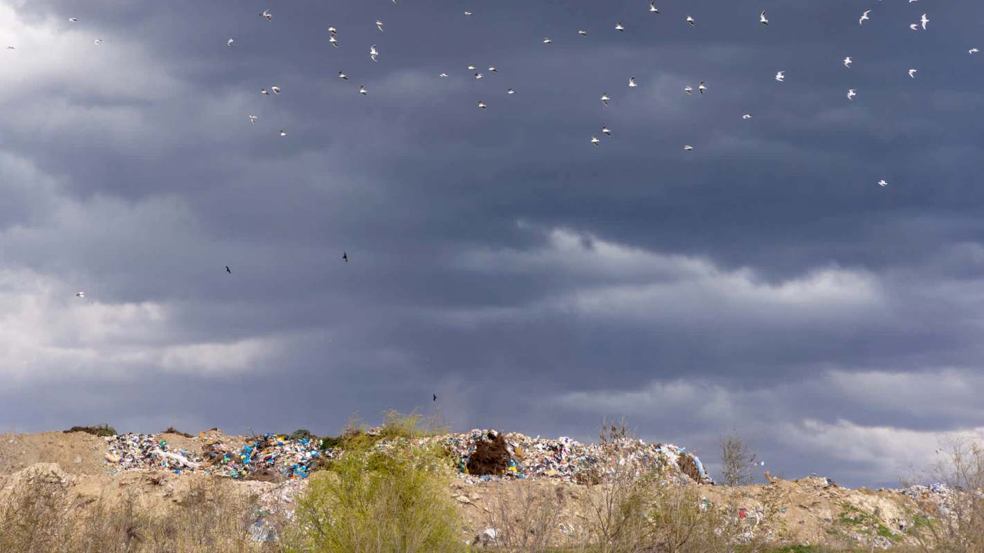 "There is no excuse."