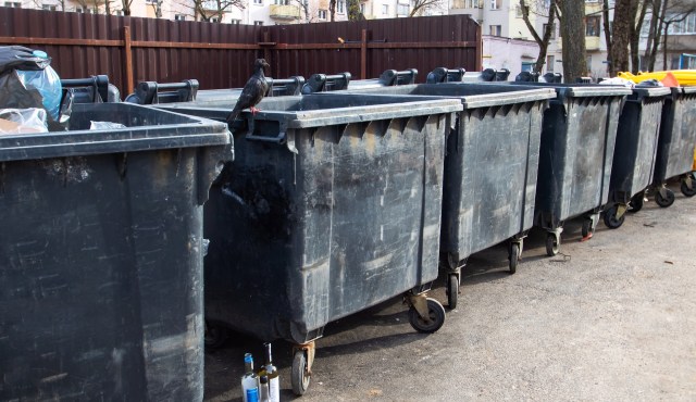 "I hope [this] will act as a deterrent to anyone else tempted to follow their example."