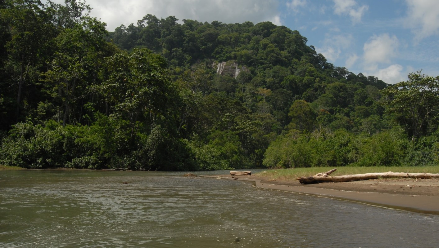 While this case was a success, the broader fight still rages on.