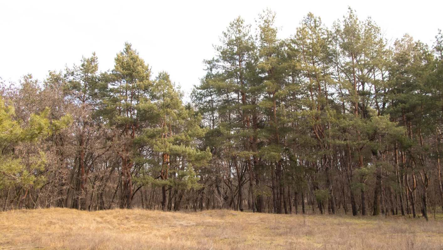 The crime is harmful in many ways.