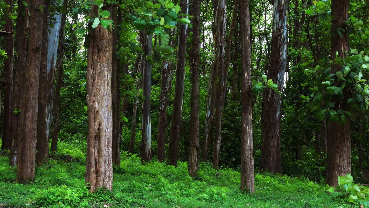 Sadly, this problem is widespread.