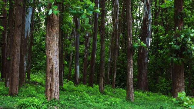 Sadly, this problem is widespread.