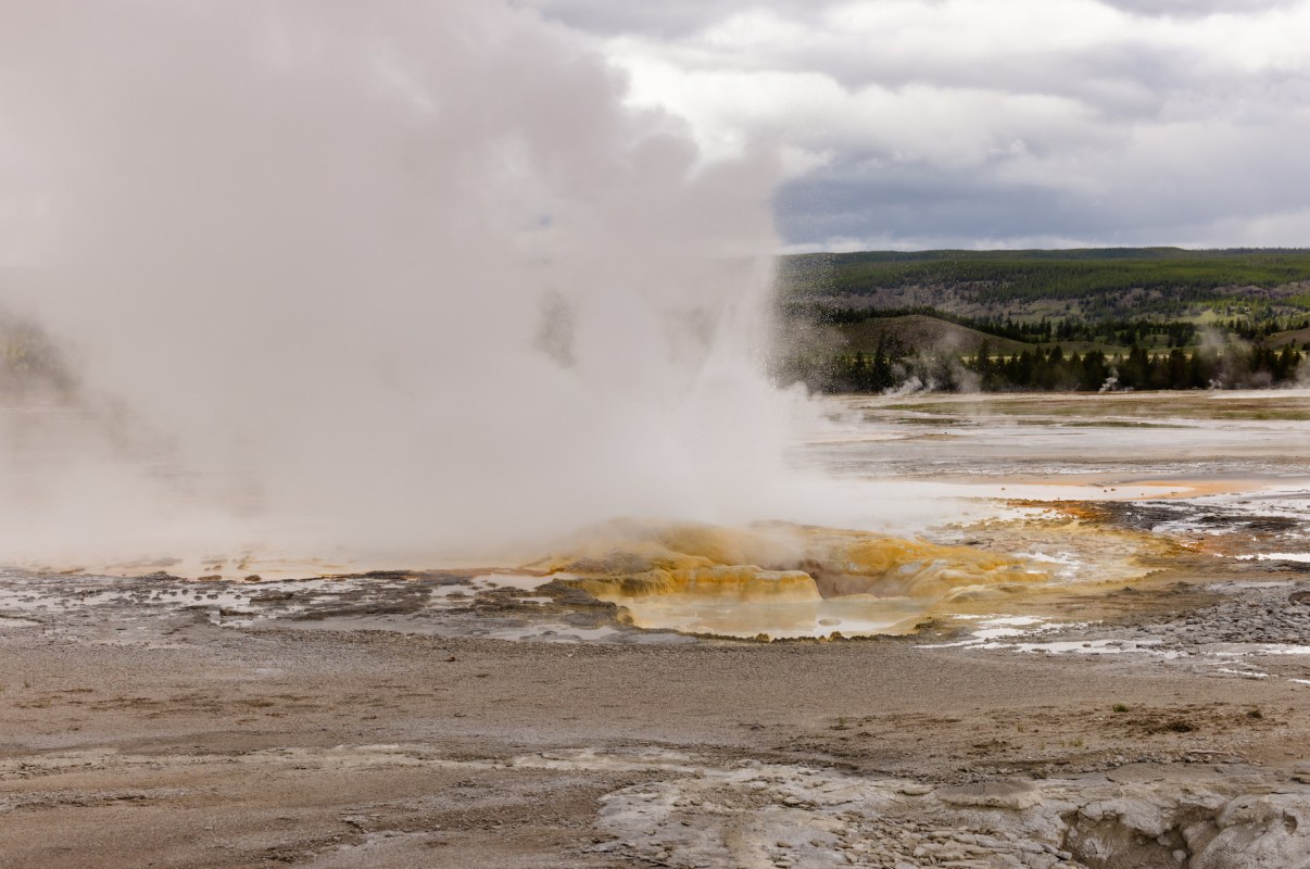 "The really sad part is when they do realize it, it'll be too late."