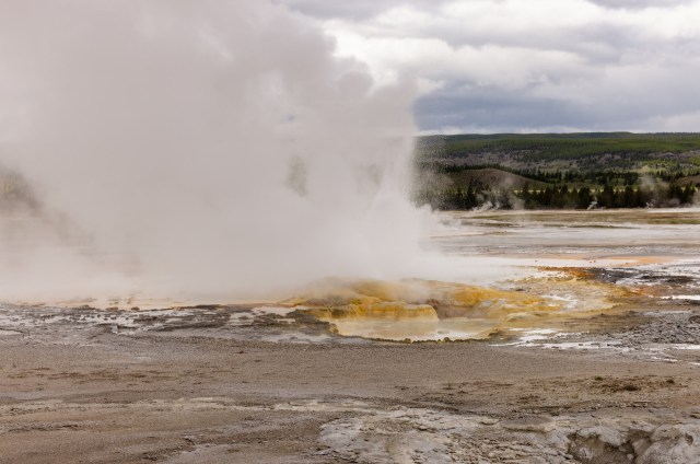 "The really sad part is when they do realize it, it'll be too late."