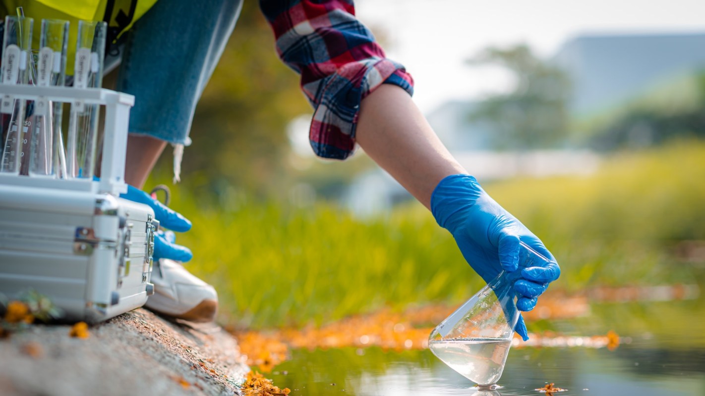 "It could start being effective in areas with ... high concentrations."