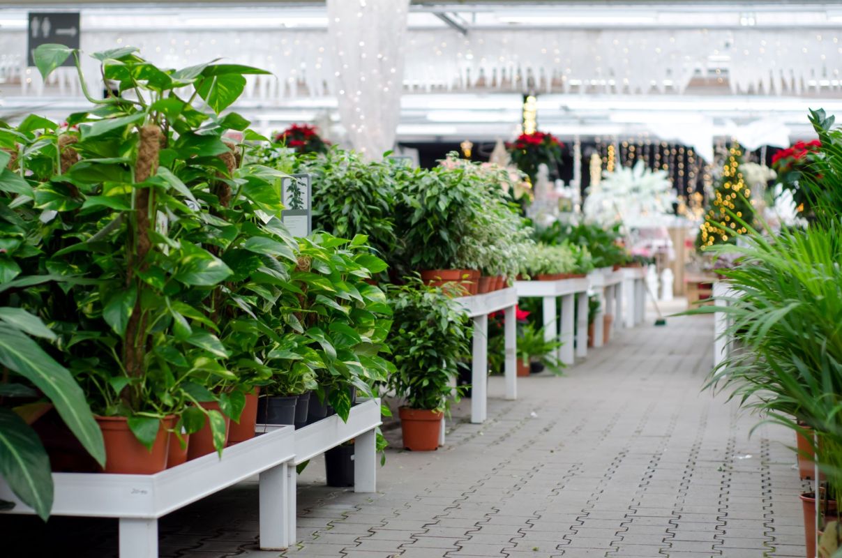 "I spoke with store employees about removing it from the shelf."