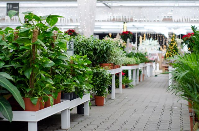 "I spoke with store employees about removing it from the shelf."