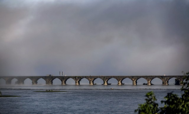 "Can exert strong control over the ecosystem."