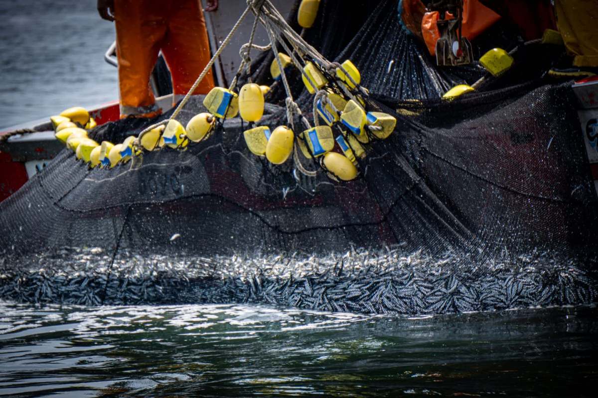 "Surely you would argue it must be illegal."