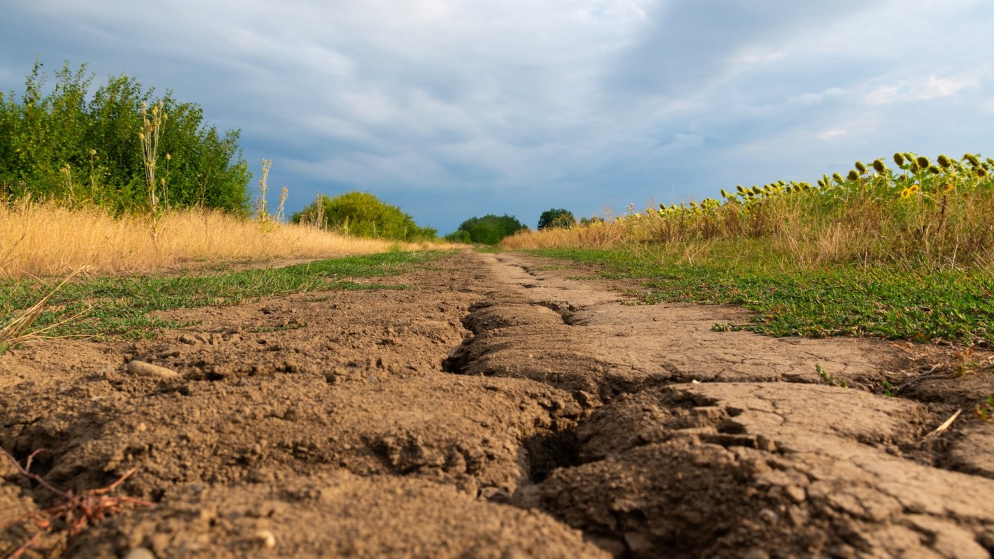 What sets flash droughts apart is their speed.