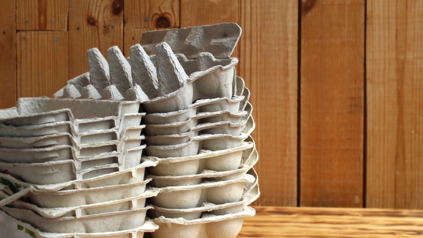 "My egg carton herbs finally hatching."