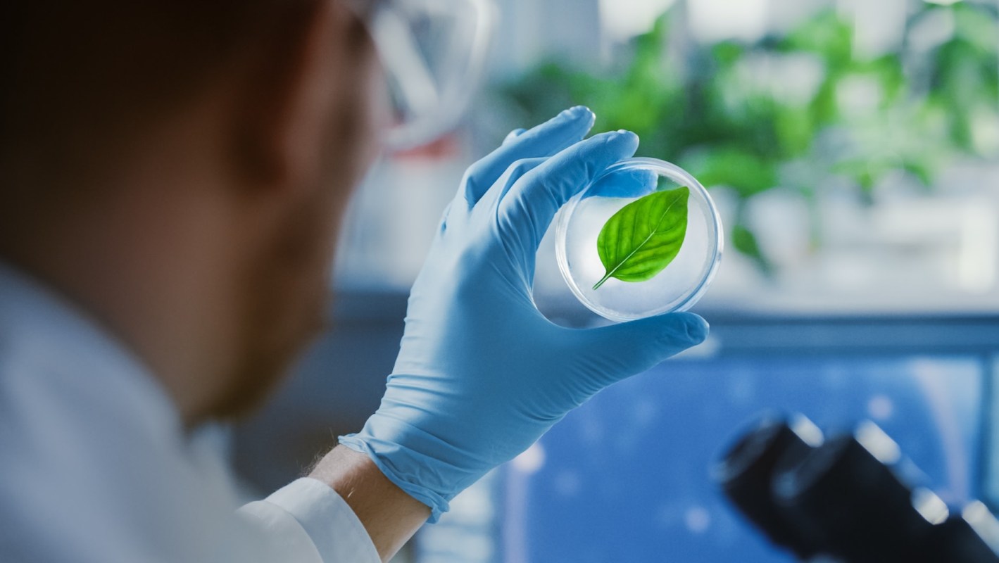 The puzzle piece has come in the form of a new molecule.