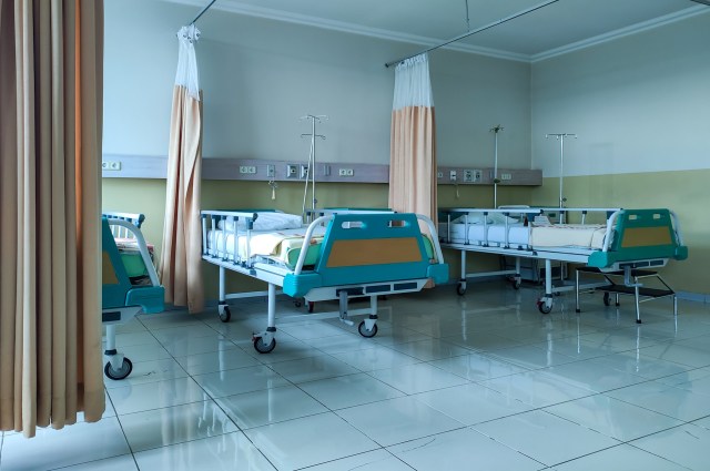 A closer look at "shared risk factors" revealed a pattern of outdoor activity in the affected individuals.