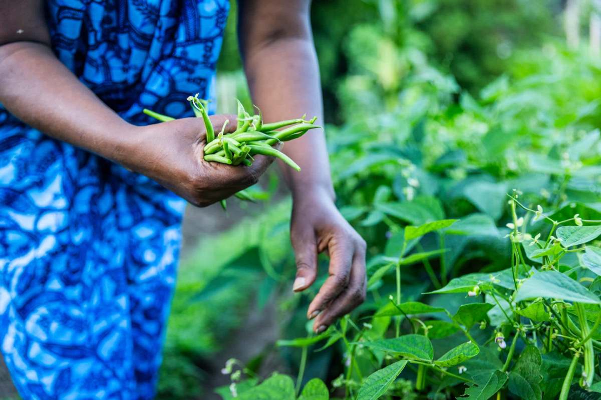 "I've found something that keeps me going."