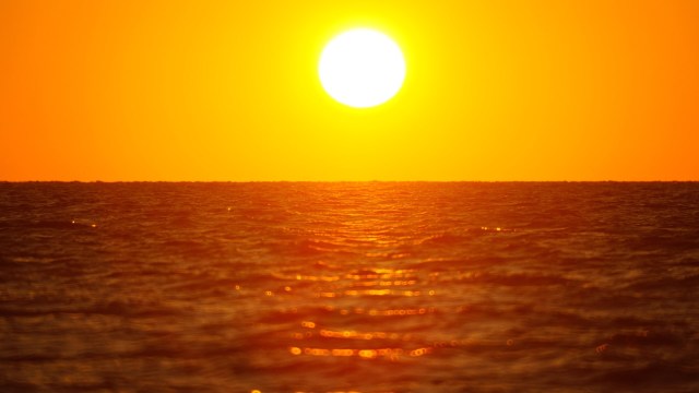 "This event marks the fourth-largest marine heat wave since 1982."