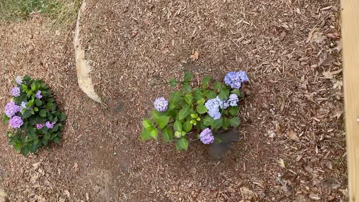 The results speak for themselves.