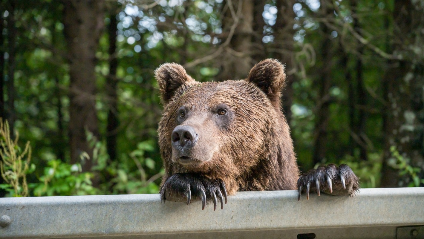 "Such encounters are going to become more common."