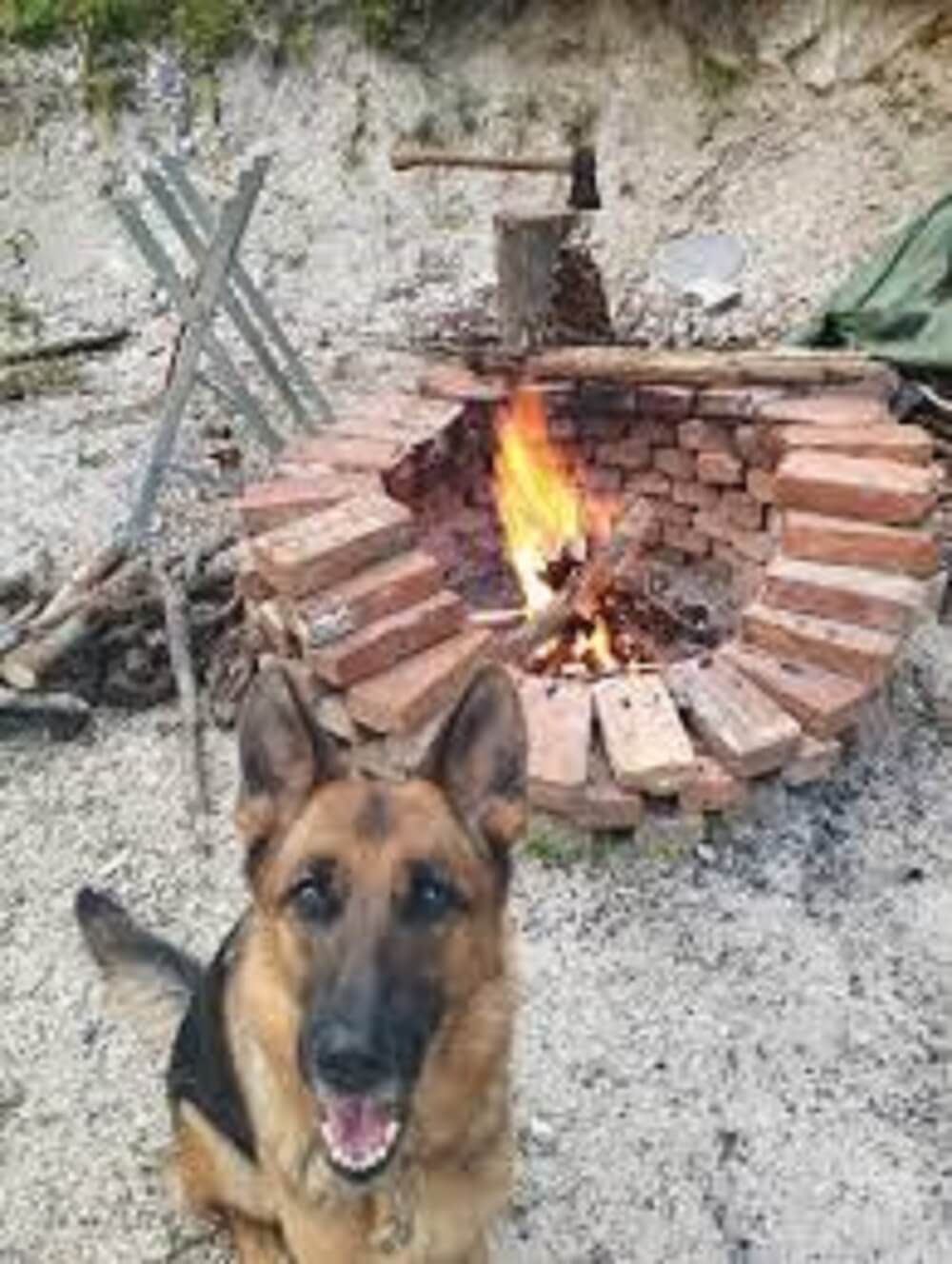 "This is exactly the kinda lifestyle I want to live."