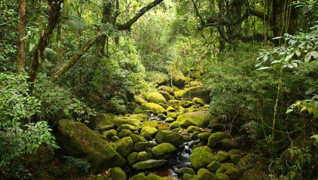 "They cannot recover."