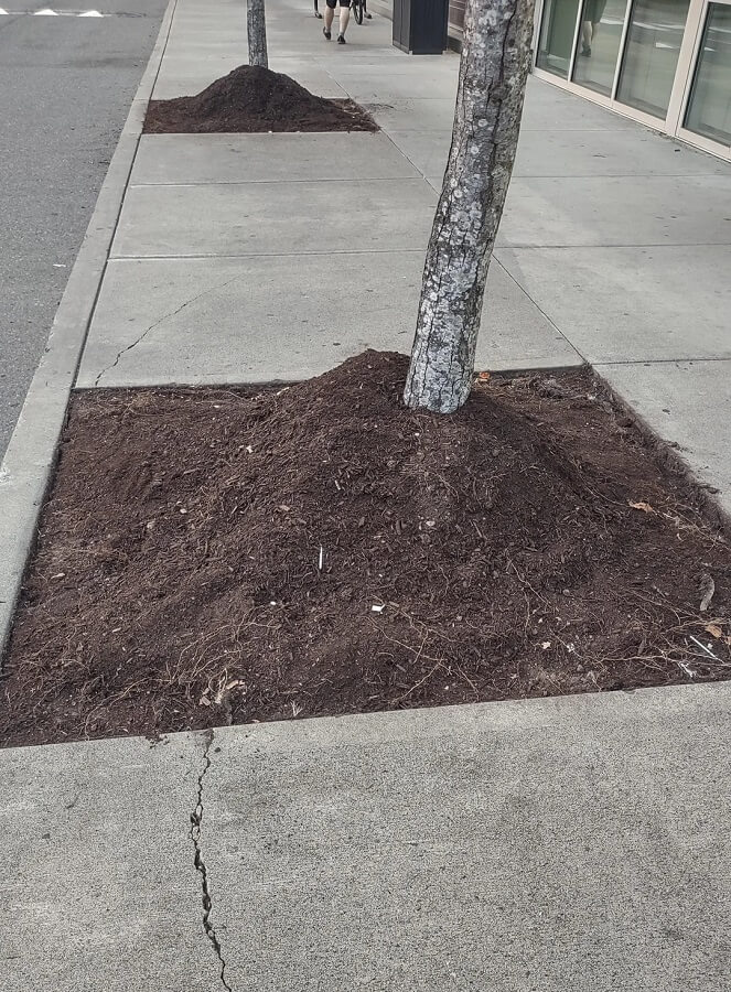 The Reddit community was flabbergasted.