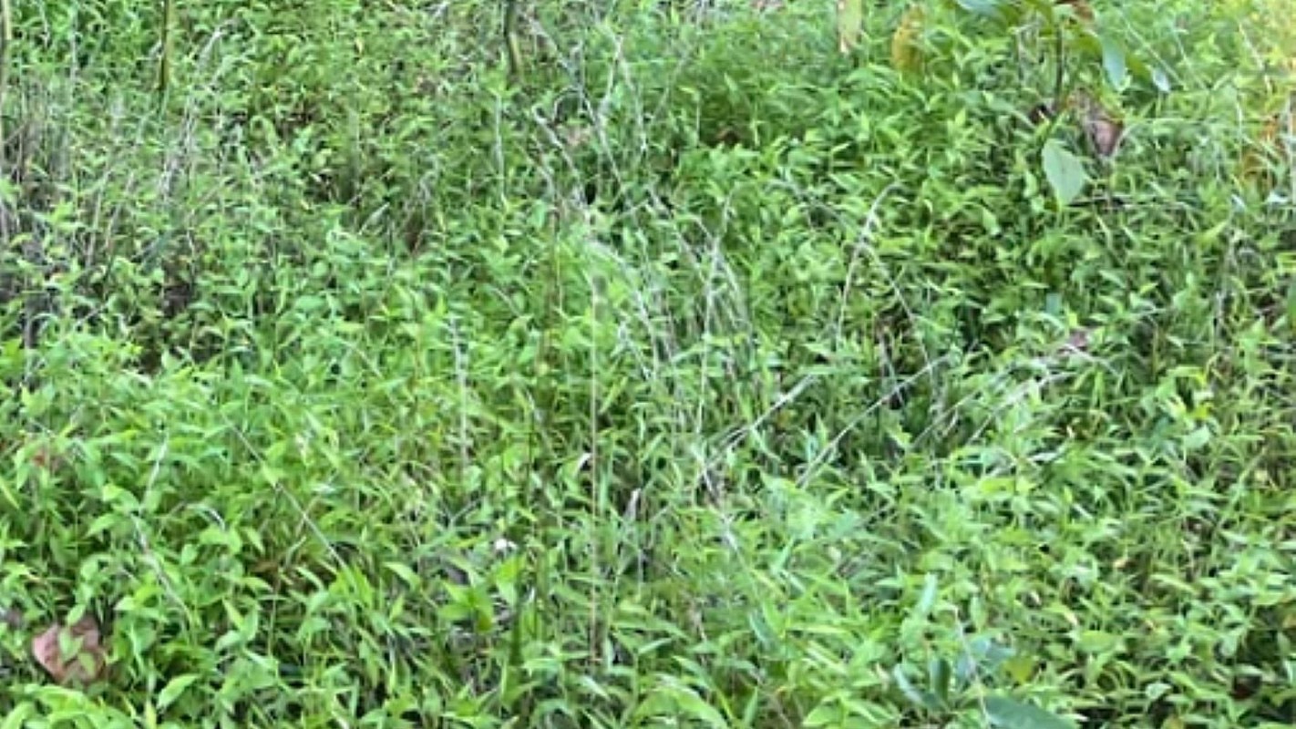 "Wish you well on your fight."