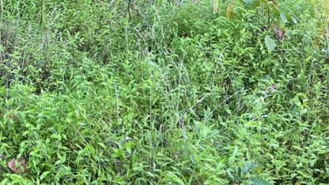 "Wish you well on your fight."