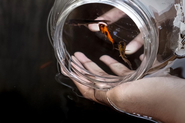 There are numerous impacts.