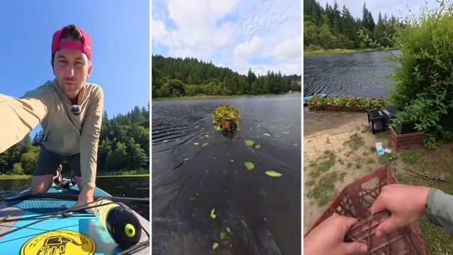 "This is amazing work."