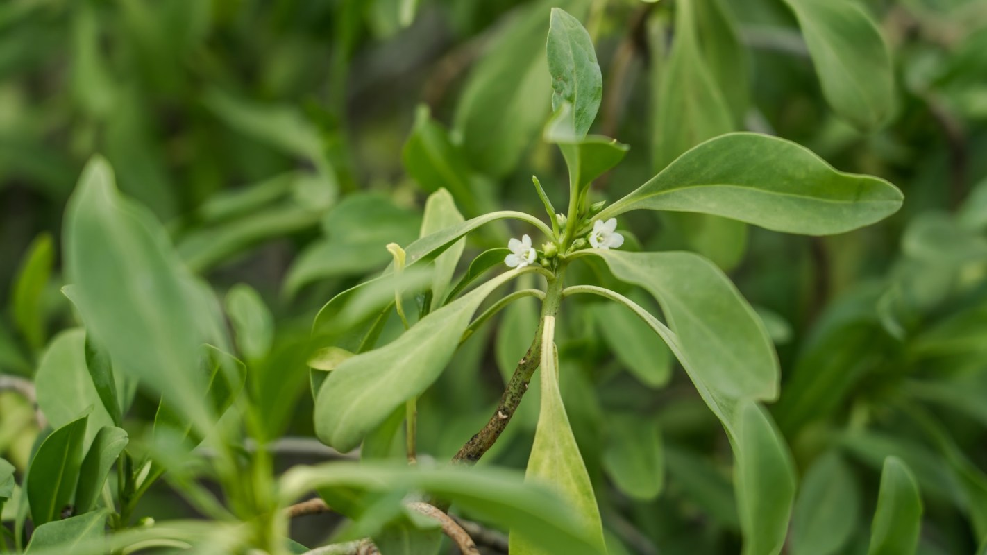 "Having that plan in place helped the agencies respond quickly in this case."