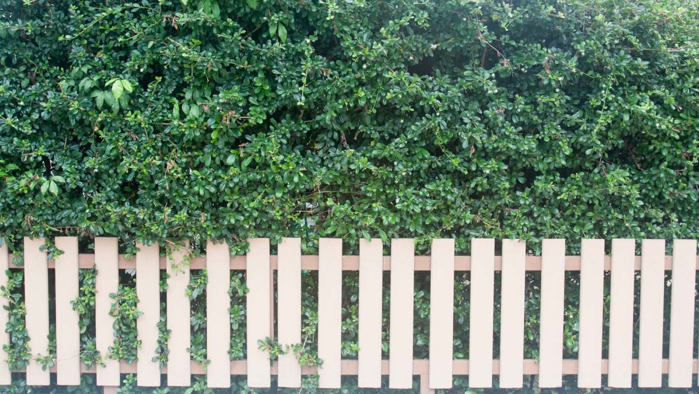 "You always have to be vigilant."