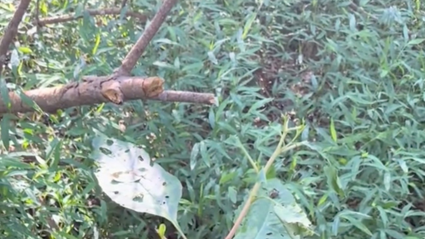 "Perfect illustration."