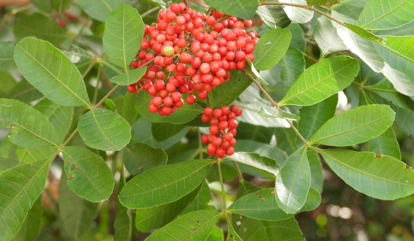 "It is the responsibility of those who are aware of the problems ... to educate others."