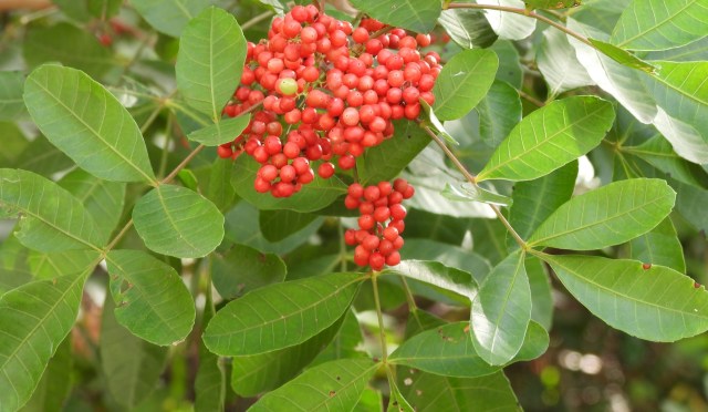 "It is the responsibility of those who are aware of the problems ... to educate others."