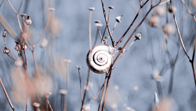 "It’s an exciting result."