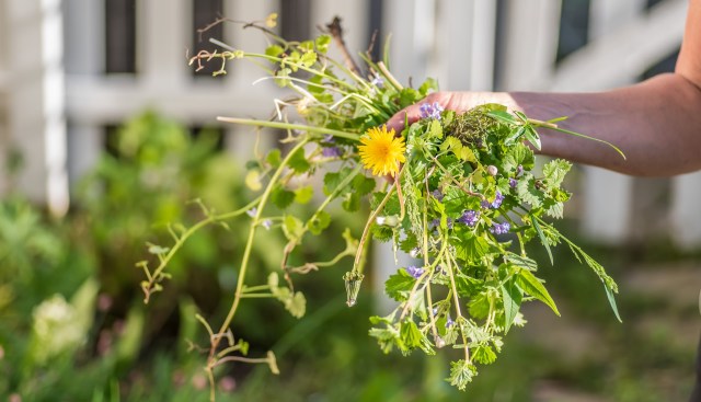 "There are things in nature that you are not going to taste anywhere else."