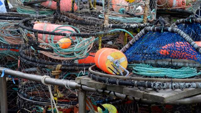 In her video, she detailed how Oregon’s estuaries and bays are commonly filled with European green crabs — invasive to their location.
