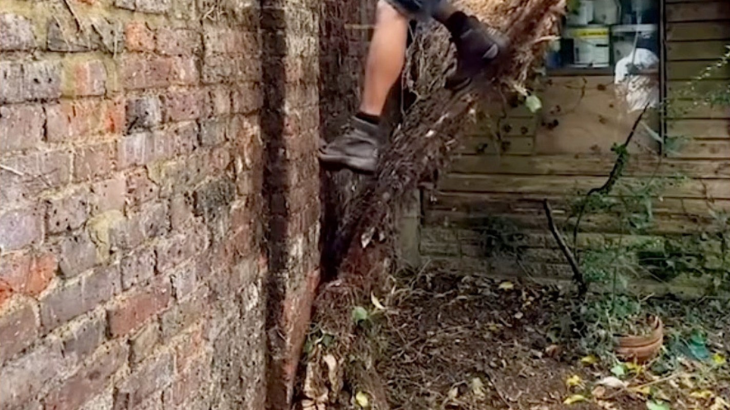 Commenters on the original video were shocked.