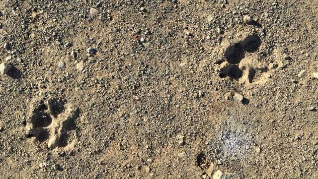 "It was a wonderful day for me."