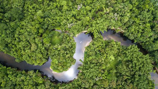 Trail cameras can be powerful tools to help researchers learn more about wild animals and how their populations are doing in the wild.